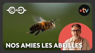 Les secrets des abeilles - Le monde merveilleux des animaux terrestres - C Jamy