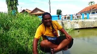 Banyak Ikan Di Bawah Jembatan Jalan Raya