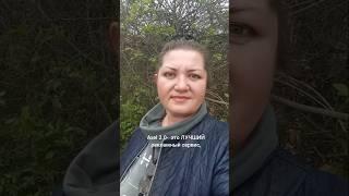 Лучший рекламный сервис https://t.me/Dariya_REF_bot