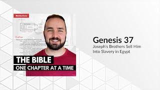 Genesis 37 Bible Study Podcast - Joseph's Brothers Sell Him Into Slavery In Egypt.