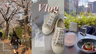 SUB) korean vlog | dior haul | wedding photo | mukbang | cherry blossoms