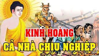 Nhân quả báo ứng, Vụ Án Cặp Vợ Chồng C.H.Ế.T THẢM Do Quá Khứ Đã Gây Nên Tội Ác Này.. | RẤT HAY