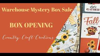 Country Craft Creations Warehouse Mystery Box Sale BOX OPENING