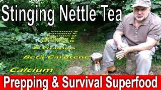  How to Make Stinging Nettle Survival Tea – The Ultimate Wild Superfood for Prepping & Bushcraft!