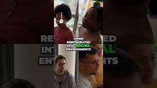 Isolation's Impact! Reversing Brain Damage Through Connection