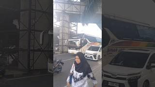BUS TELOLET SINAR JAYA #automobile #busmania #bussinarjaya #telolet