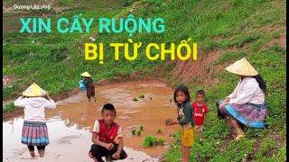 Xuống ruộng xin cấy thuê với bà con người Hmông nhưng bị từ chối ngay