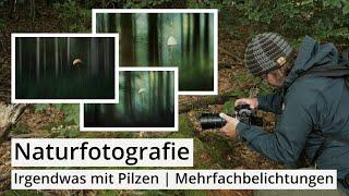 Naturfotografie: PILZE etwas anders fotografieren | DOPPELBELICHTUNGEN | Irgendwas mit Pilzen