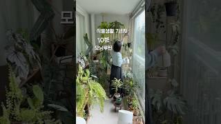 하루종일 식물 가꾸냐고요-? 하루10분 컷 #식물 #플랜테리어 #마음챙김 #베란다정원 #plants