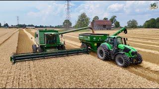 Wheat Harvest 2024 near Greenfield Indiana