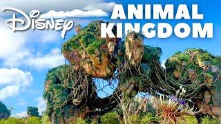 Disney's Animal Kingdom Walking Tour - Pandora, Africa, and Asia in 4K