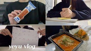 eng) VLOG #17 |  나는 과제하는 로봇입니까? | 흥 넘치는 공부 브이로그 | 배떡 로제 떡볶이 | 불닭 크림 리조또, 유부초밥, 요거트