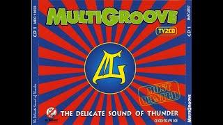 Multigroove - The Delicate Sound Of Thunder - Disc 2 Hardcore