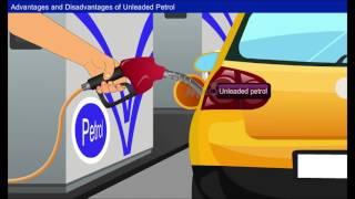 Unleaded and Synthetic Petrol [Year-1]