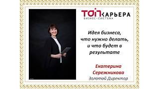 Полная суть бизнеса. Сережникова Екатерина