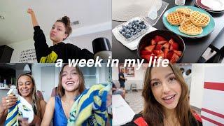 VLOG  a week in my life