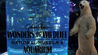 Wonders of Wildlife Aquarium & Museum Tour & Review with The Legend