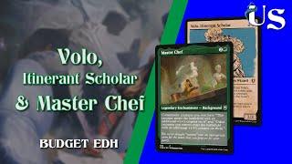 Volo, Itinerant Scholar & Master Chef – EDH Budget #mtg #edh