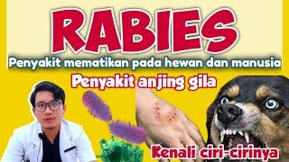 BAHAYA‼️RABIES ADALAH PENYAKIT MEMATIKAN || VIRUS RABIES || ZOONOSIS | drh Mirza Yusa | DOKTER HEWAN