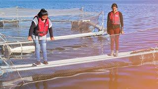 The aquaculture women of Lake Arapa, Peru