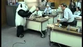 Panda Cheese  Office