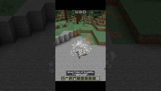 Ninja star⭐ in Minecraft #mnpgamer