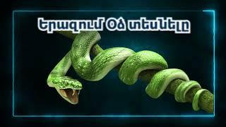 Երազում Օձ տեսնելը - erazum Odz tesnely - Erazahan Odz