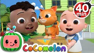 Cody Moves Next Door Song + More Nursery Rhymes & Kids Songs - CoComelon