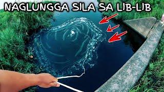 Natagpuan Ko Sila Sa Lib-lib Na Lugar Ang Lalakas Dali Dali Kung Inuwi Para Gawin Ito