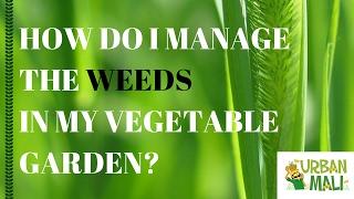 How Do I Manage The Weeds In My Vegetable Garden? - Urbanmali.com