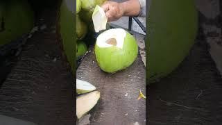 The Most Satisfying Coconut Experience