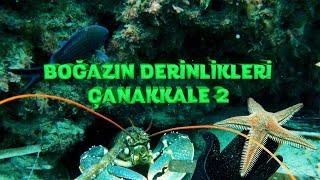 Boğazın Derinlikleri Çanakkale 2  |  Aralık 2022