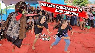 HEBOH ‼️DIKEJAR DAWANGAN BUDI CENTONG | Spesial Tahun Baru New Sekar Aji ● LIVE SAWANGAN - GRINGSING