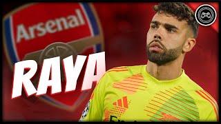 The Brilliance of David Raya in Arsenal So Far