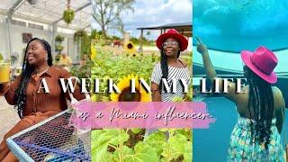 A WEEK IN MY LIFE AS A MIAMI INFLUENCER | BRAND COLLABORATION, RESTAURANT REVIEWS AND MORE!!!