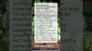 Секретные рецепты органических удобрений из подручных средств