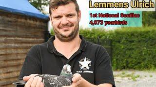 Lemmens Ulrich racing pigeon : 1st National Souillac 2024, 4,073 Yearbirds
