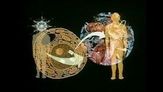 Глобальный разум - докум. фильм (1983)