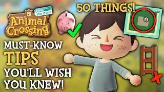 50 Things I WISH I Knew Sooner - ACNH Tips & Tricks