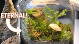 How To Make An Eternal Terrarium | Closed Off Eco System