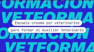 Vetformación - Formación Auxiliar de Veterinaria