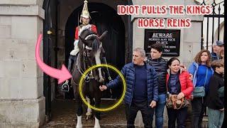 Stupid Tourist Pulls the Horses Reins! Horse Guard, Kings Guard, Royal Guards Horse Guard parade!