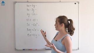 Как вынести общий множитель за скобки · Алгебра Математика 7 класс