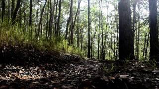 Jacob Reeves Downhill Promo