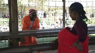 Zimbabwe frees prisoners, including those sentenced to death, in an independence day