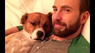 Chris Evans' Dog Left With Bald Patches After Grooming Went Wrong