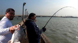 Fishing for BIG Uglies at Cos-Way pier (Corpus Christi, Black Drum Blitz)!pt 1