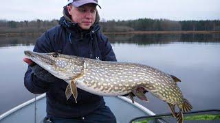 Big pike river fishing - how to find big pike in late autumn