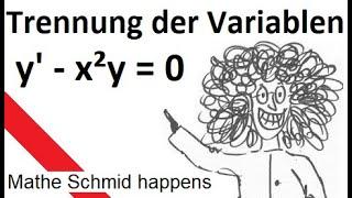 Trennung der Variablen: y'-x²y=0   | Mathematik vom Mathe Schmid