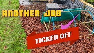 ALLOTMENT GARDEN|February allotment jobs| allotment uk 2025